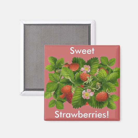 Vintage Strawberry Magnet (Vorderseite/Rückseite)