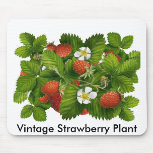 Vintage Strawberry Mousepad