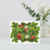 Vintage Strawberry Postkarte (Stehend Vorderseite)
