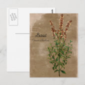 Vintage Style Basilikum-Kraut Postkarte (Vorne/Hinten)