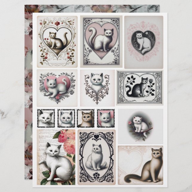 Vintage Style Black and Pink Kitten Illustrations (Vorne/Hinten)