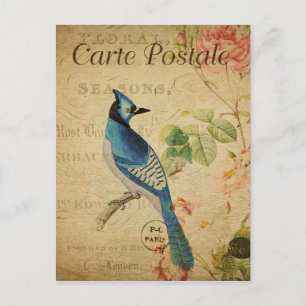 Vintage Style Blaues Vogel Französisch Carte Posta Postkarte