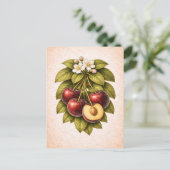 Vintage-Style Cherry Botanical Illustration Postkarte (Stehend Vorderseite)