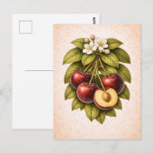Vintage-Style Cherry Botanical Illustration Postkarte (Vorne/Hinten)