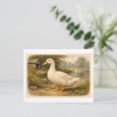 Vintage-Style Duck Illustration Postkarte (Stehend Vorderseite)