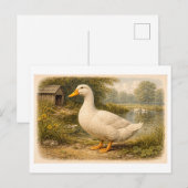Vintage-Style Duck Illustration Postkarte (Vorne/Hinten)