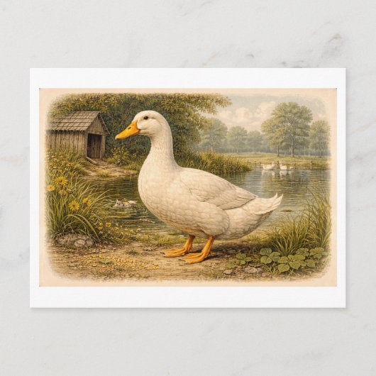 Vintage-Style Duck Illustration Postkarte (Vorderseite)