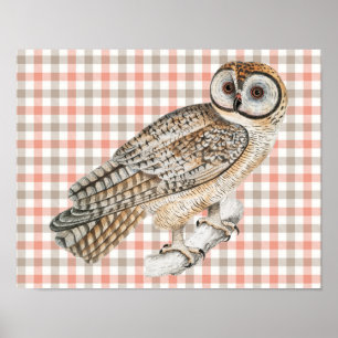 Vintage-Style-Eulenposter-Kunst auf Karo-Kunst Poster