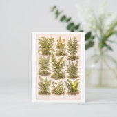 Vintage-Style Ferns Illustration Postkarte (Stehend Vorderseite)