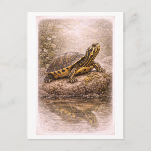 Vintage-Style-Gelbbauch-Schmuckschildkröte Postkarte