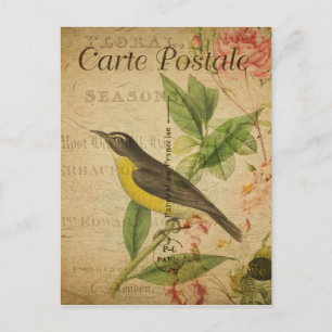 Vintage Style Gelber Vogel Französische Carte Post Postkarte