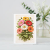 Vintage-Style Gerber-Gänseblümchen-Strauß-Zeichnun Postkarte (Stehend Vorderseite)