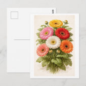 Vintage-Style Gerber-Gänseblümchen-Strauß-Zeichnun Postkarte (Vorne/Hinten)