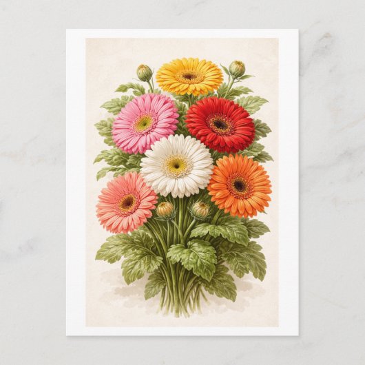 Vintage-Style Gerber-Gänseblümchen-Strauß-Zeichnun Postkarte (Vorderseite)