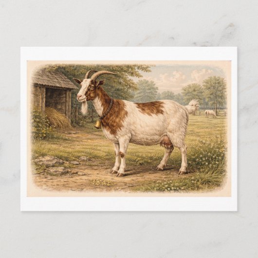 Vintage-Style Goat lllustration Postkarte (Vorderseite)