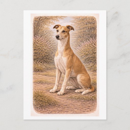 Vintage-Style Greyhound Postkarte (Vorderseite)