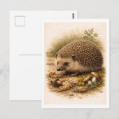 Vintage-Style Hedgehog Illustration Postkarte (Vorne/Hinten)