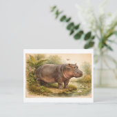 Vintage-Style Hippo Illustration Postkarte (Stehend Vorderseite)