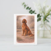 Vintage-Style Irish Setter Postkarte (Stehend Vorderseite)