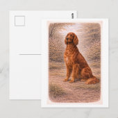 Vintage-Style Irish Setter Postkarte (Vorne/Hinten)