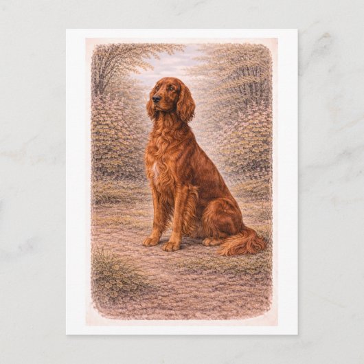 Vintage-Style Irish Setter Postkarte (Vorderseite)