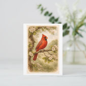 Vintage-Style Male Cardinal lllustration Postkarte (Stehend Vorderseite)