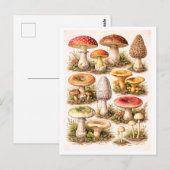 Vintage-Style Mushroom Illustration Postkarte (Vorne/Hinten)