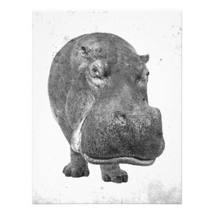 Vintage Style Nilpferd Poster/Druck! Fotodruck