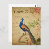 Vintage Style Peacock French Postkarte (Vorne/Hinten)