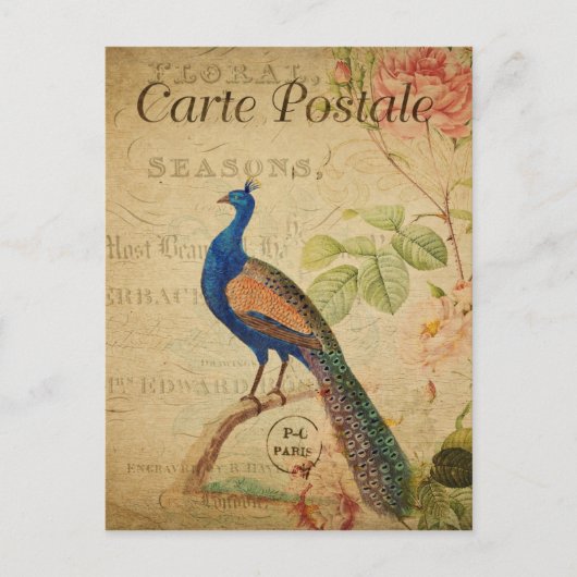 Vintage Style Peacock French Postkarte (Vorderseite)