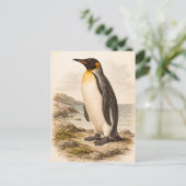 Vintage-Style Penguin Illustration Postkarte (Stehend Vorderseite)