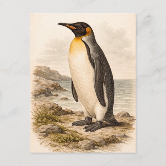 Vintage-Style Penguin Illustration Postkarte (Vorderseite)