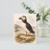 Vintage-Style Puffin Illustration Postkarte (Stehend Vorderseite)