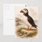 Vintage-Style Puffin Illustration Postkarte (Vorne/Hinten)