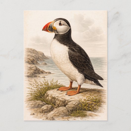 Vintage-Style Puffin Illustration Postkarte (Vorderseite)