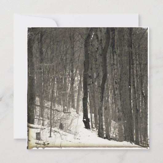 Vintage Style Snowy Forest Mitteilungskarte (Vorderseite)