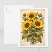 Vintage-Style Sunflower Botanical Illustration Postkarte (Vorne/Hinten)