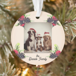 Vintage Style Tannenzapfen & Beeren Weihnachtsfoto Ornament