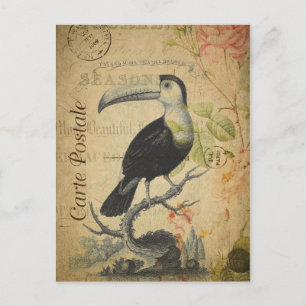 Vintage Style-Tukan französische Carte Postale Postkarte
