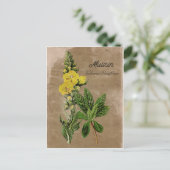 Vintage Style Wollkraut Postkarte (Stehend Vorderseite)
