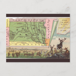 Vintage Süd-Dakota-Karte Postkarte
