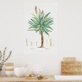 Vintage Sukkulente Illustration Poster (Küche)