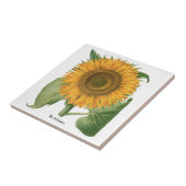 Vintage Sunflower Flower by Basilius Besler Fliese (Seite)