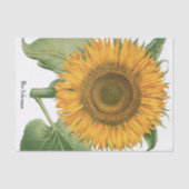 Vintage Sunflower Flower by Basilius Besler Seidenpapier (Vorderseite)