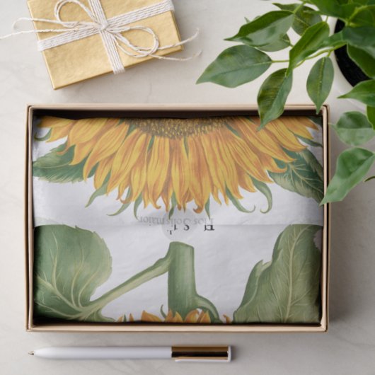 Vintage Sunflower Flower by Basilius Besler Seidenpapier (Geschenk)