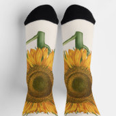 Vintage Sunflower Flower by Basilius Besler Socken (Oben)
