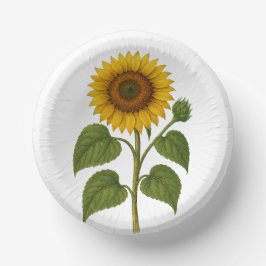 Vintage Sunflower Pappteller