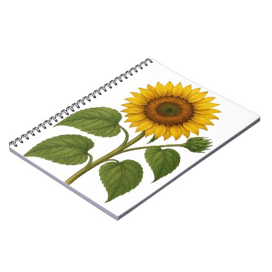 Vintage Sunflower transparent background Notizblock (Linke Seite)
