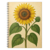 Vintage Sunflower weathered background Notizblock (Vorderseite)