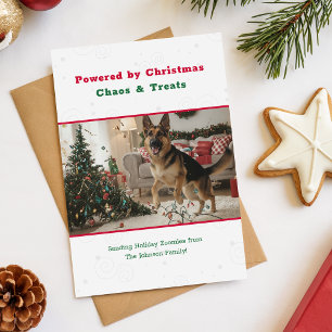 Vintage Süße Lustige Hunde-Pet-Foto Weihnachten